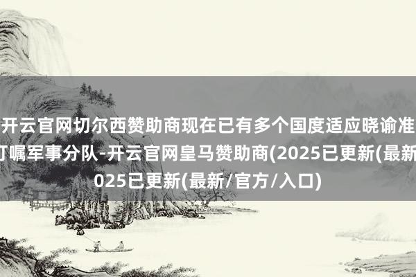 开云官网切尔西赞助商现在已有多个国度适应晓谕准备向乌克兰叮嘱军事分队-开云官网皇马赞助商(2025已更新(最新/官方/入口)
